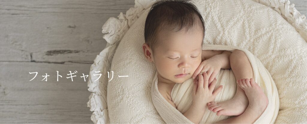 lotusbabyphotoギャラリー
